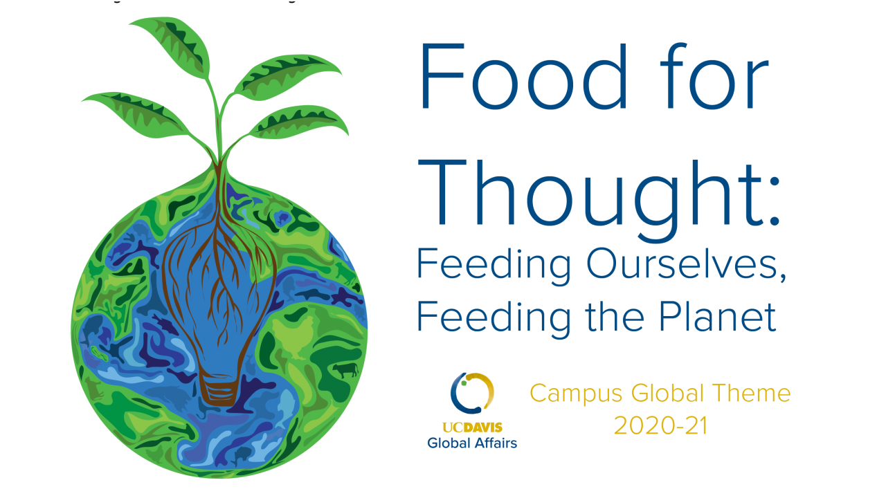 Campus Global Theme Graphic