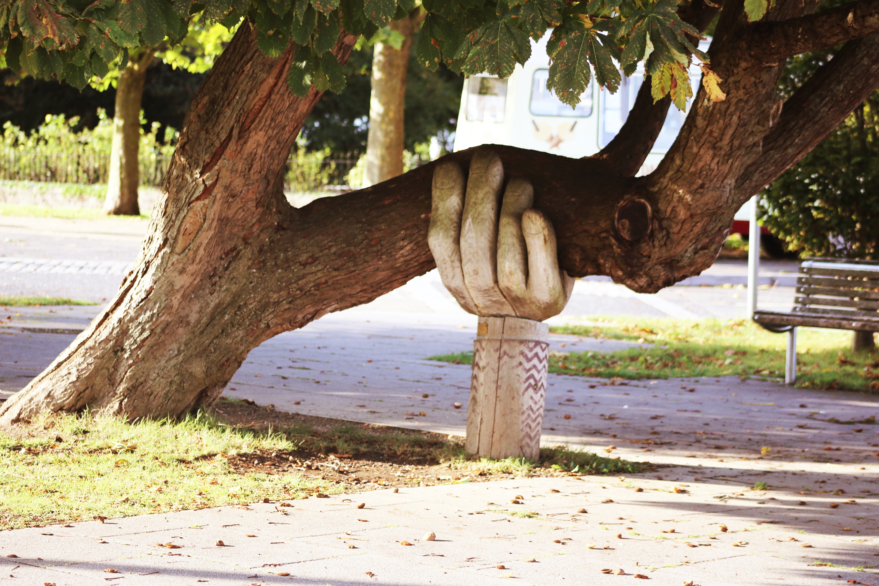 Arm holding tree up