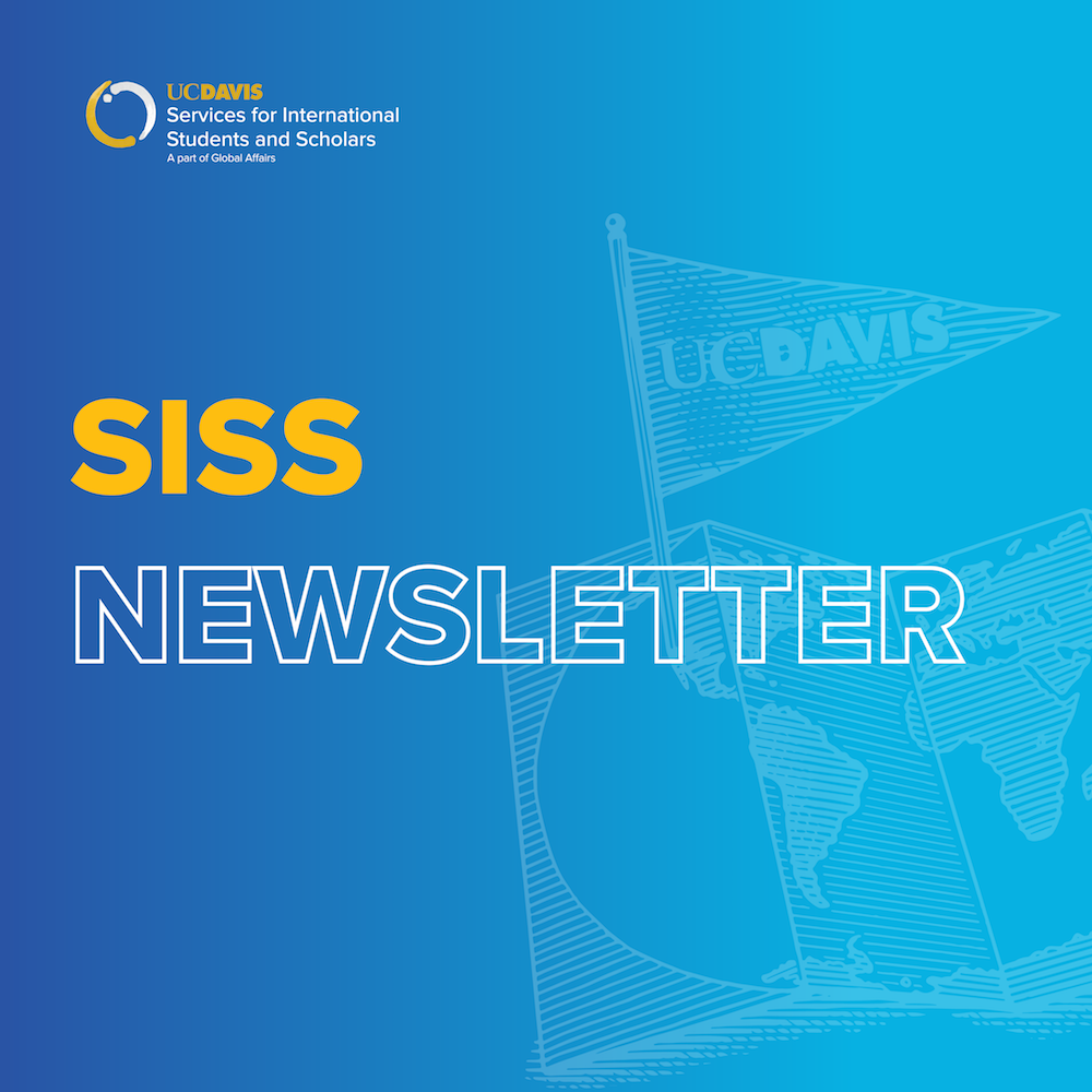 SISS Newsletter graphic in blue