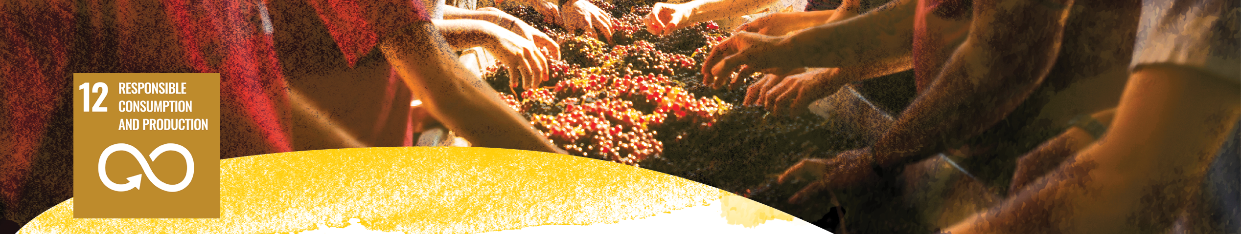 SDG 12 icon for responsible consumption with image of people processing grapes