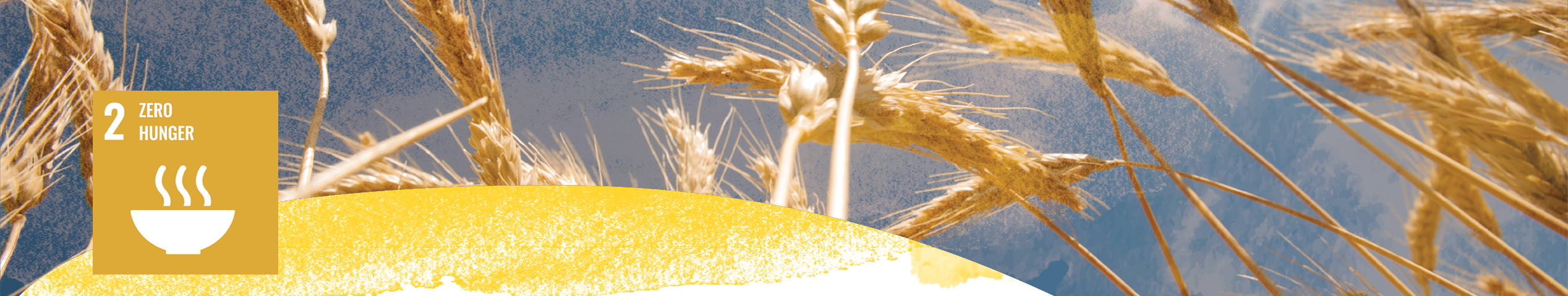 SDG 2: No Hunger with a photo of wheat