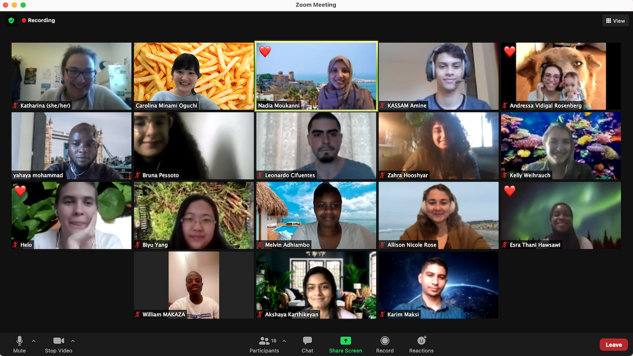 Screenshot of Global Education for All Fellows alongside students from other universities during a Zoom meeting for the project