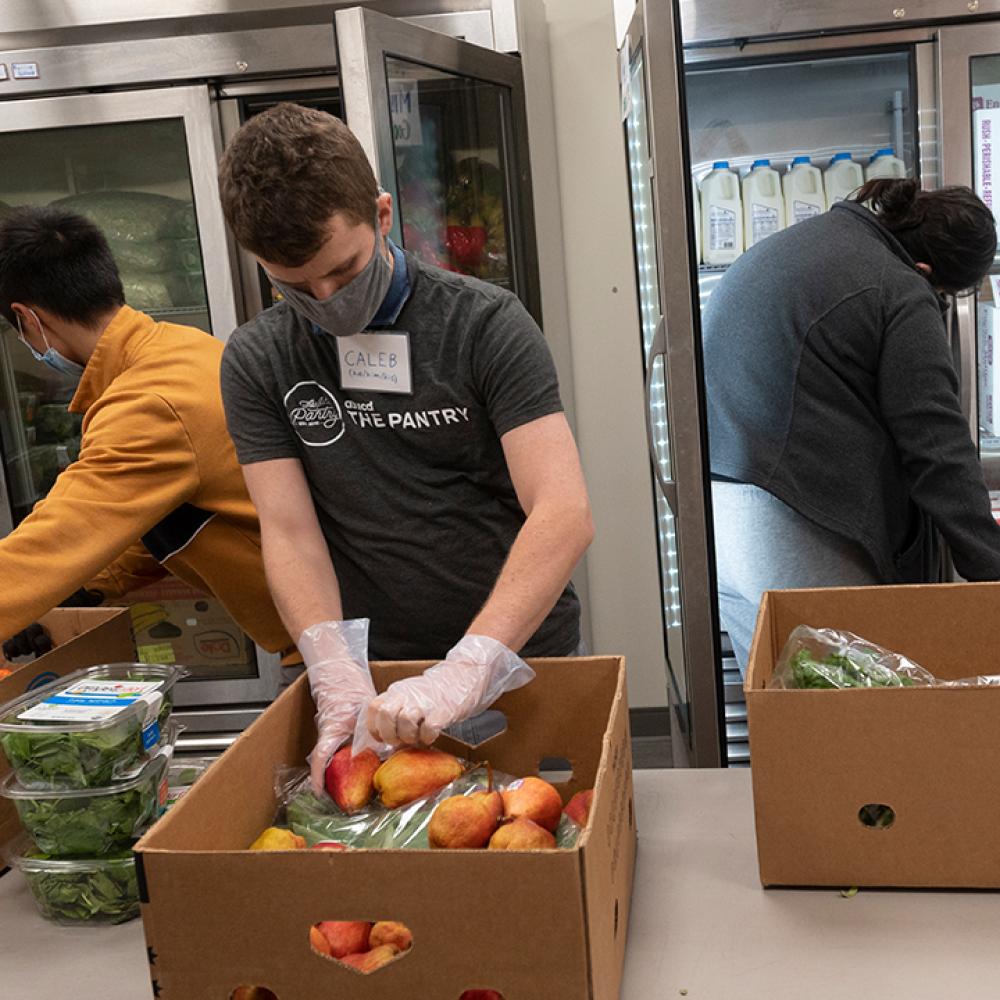 Three volunteers put perishable groceries away in large refrigerators at The Pantry. One volunteer on the left of the photos is in the middle of turning to the fridge behind him with a box containing citrus. The volunteer in the middle wearing an ASUCD The Pantry T-shirt is sorting apples. A volunteer on the right has turned their attention to the milk and dairy in another refrigerator. 