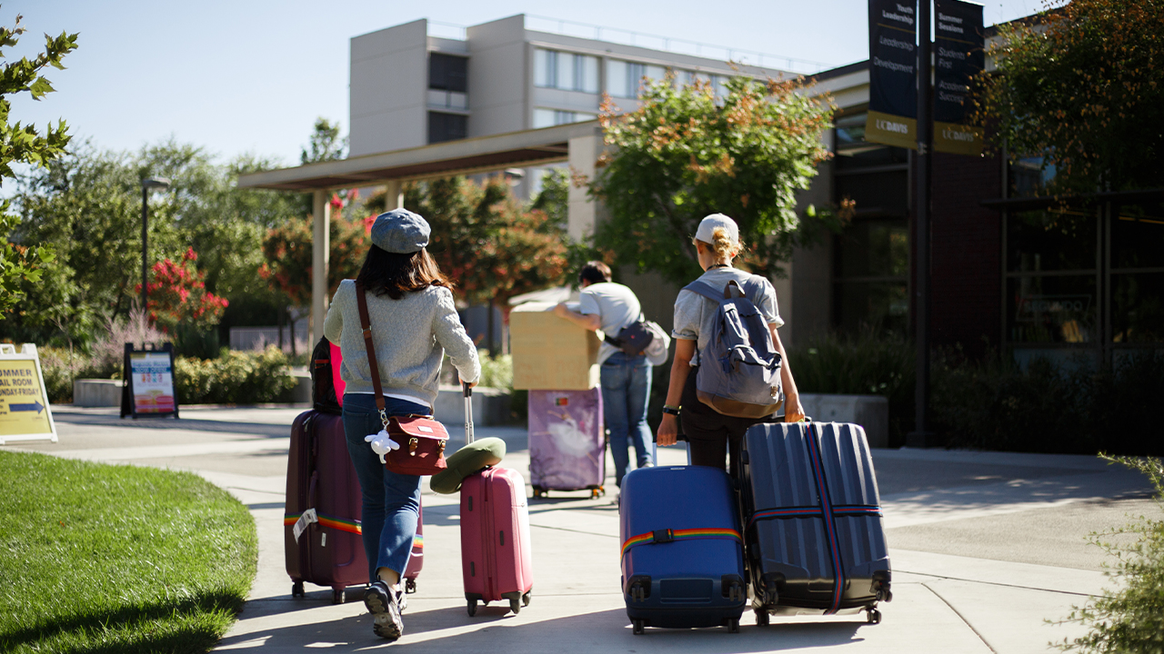 Three students wheel their suitcases down a concrete path with grass on the left and trees and buildings on the right. 